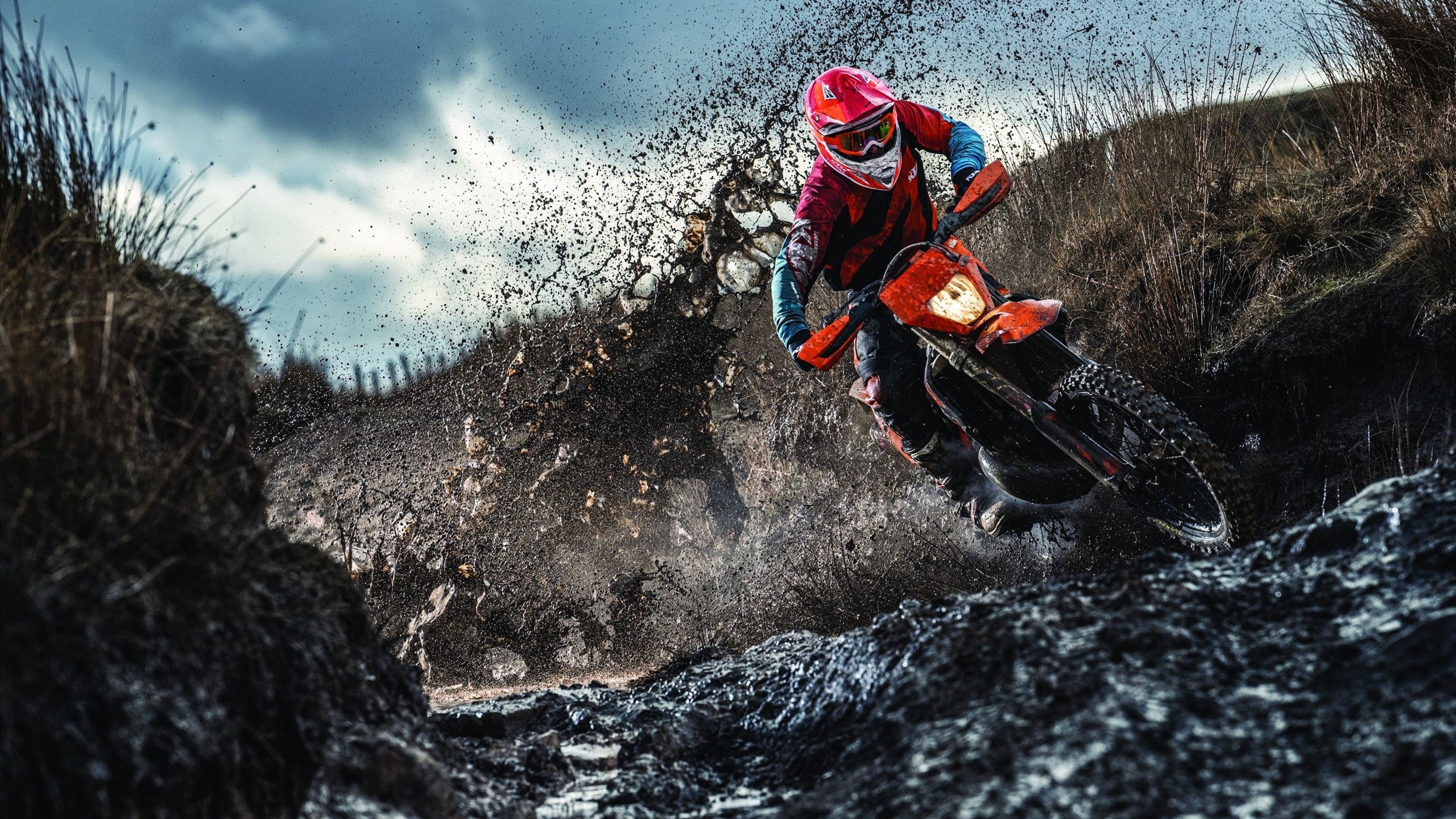 公牛进攻火力全开，连胜势头延续，公牛集锦